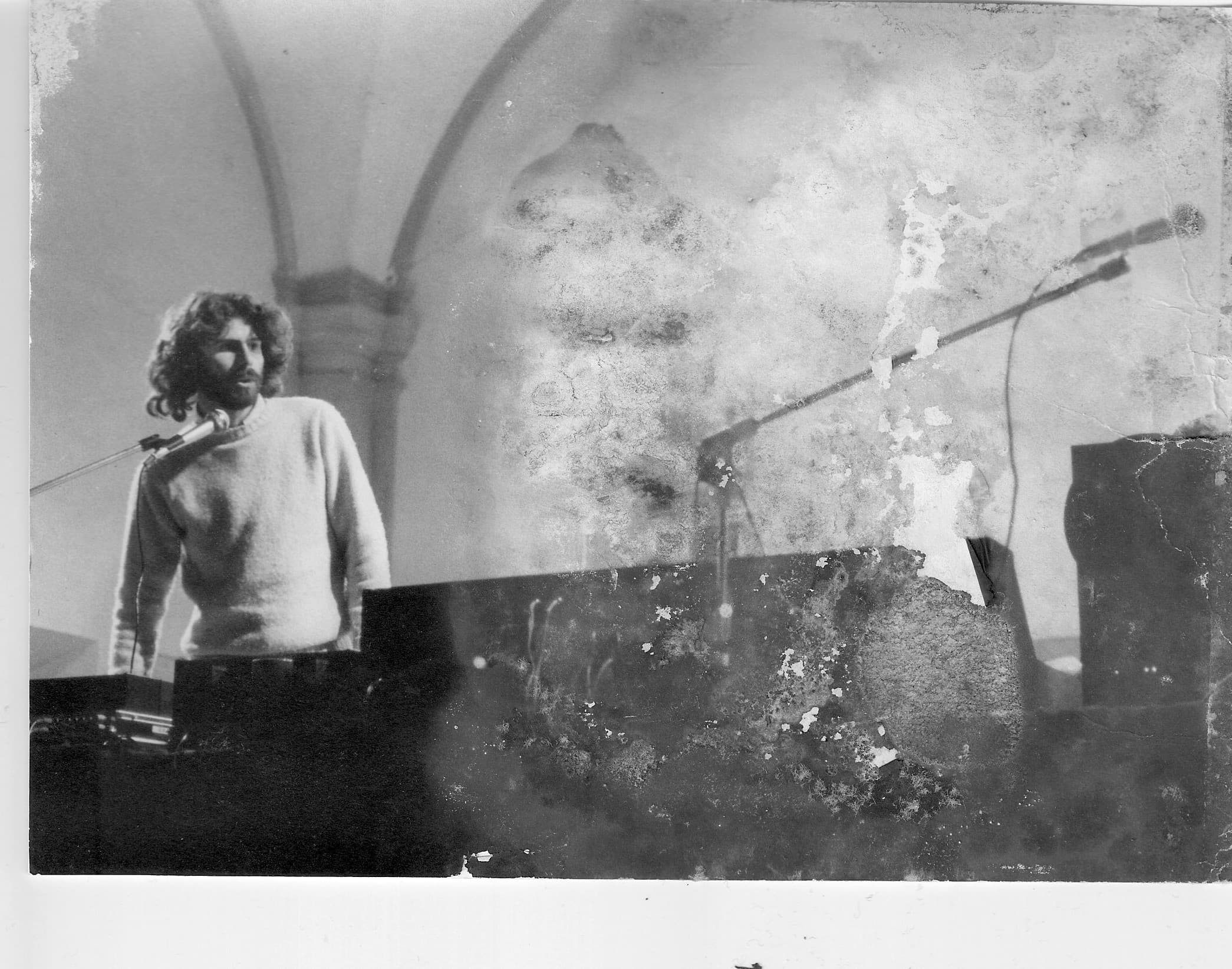 Daniele Torresan